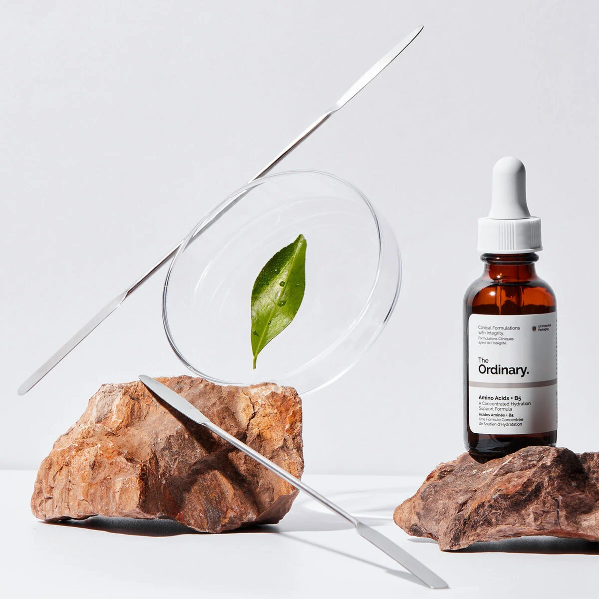 The Ordinary